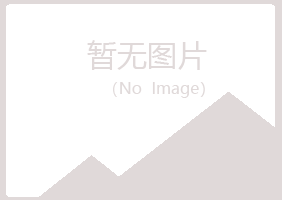 山西初夏能源有限公司